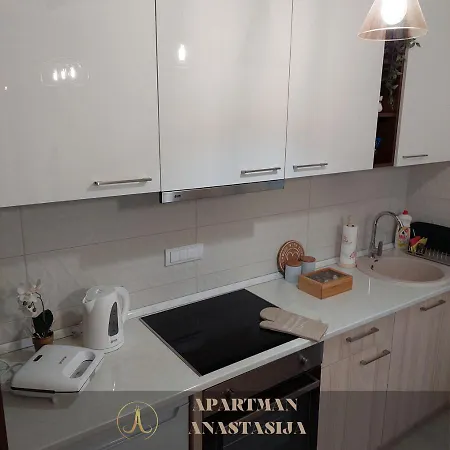 Anastasija 아파트 Vrnjačka Banja