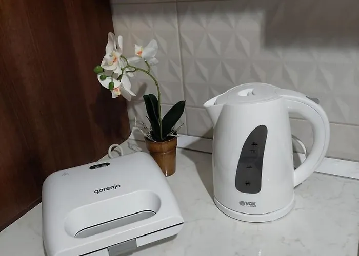 公寓 Anastasija Vrnjačka Banja