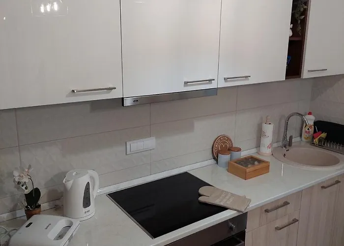 Anastasija 公寓 Vrnjačka Banja